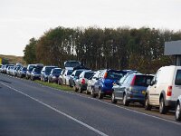 NL, Noord-Holland, Texel 82, Saxifraga-Foto Fitis-Sytske Dijksen