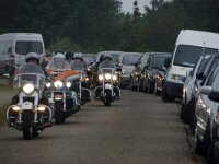 NL, Noord-Holland, Texel, Rommelpot 9, Saxifraga-Foto Fitis-Sytske Dijksen