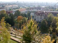 CZ, Praha, Praha 3, Saxifraga-Foto Fitis-Sytske Dijksen