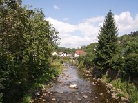 CZ, Trutnov, Vrchlabi 7, Saxifraga-Foto Fitis-Sytske Dijksen