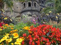 D, Rheinland-Pfalz, Trier 1, Saxifraga-Foto Fitis-Sytske Dijksen