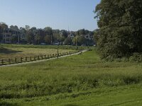 NL, Gelderland, Arnhem, Sonsbeek 19, Saxifraga-Jan van der Straaten