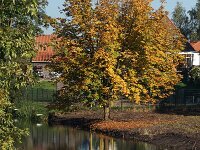 NL, Gelderland, Elburg 4, Saxifraga-Foto Fitis-Sytske Dijksen