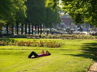 NL, Gelderland, Nijmegen 22, Saxifraga-Foto Fitis-Sytske Dijksen