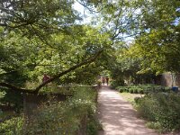 NL, Limburg, Maastricht 5, Saxifraga-Foto Fitis-Sytske Dijksen