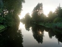 NL, Noord-Holland, Amsterdam, Kalfjeslaan 1, Saxifraga-Foto Fitis-Sytske Dijksen