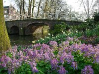 NL, Utrecht, Utrecht 6, Saxifraga-Foto Fitis-Sytske Dijksen