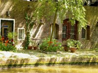 NL, Utrecht, Utrecht 7, Saxifraga-Foto Fitis-Sytske Dijksen