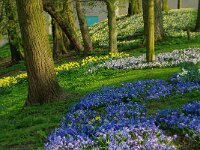 NL, Utrecht, Utrecht, Bolwerk Wittevrouwensingel 3, Saxifraga-Foto Fitis-Sytske Dijksen
