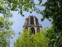 NL, Utrecht, Utrecht, Domtoren 3, Saxifraga-Foto Fitis-Sytske Dijksen
