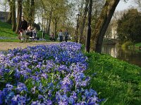 NL, Utrecht, Utrecht, Maliesingel 1, Saxifraga-Foto Fitis-Sytske Dijksen