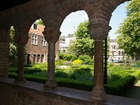 NL, Utrecht, Utrecht, Mariaplaats 1, Saxifraga-Foto Fitis-Sytske Dijksen