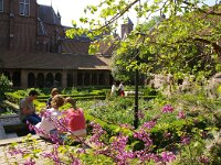 NL, Utrecht, Utrecht, Mariaplaats 2, Saxifraga-Foto Fitis-Sytske Dijksen