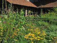 NL, Utrecht, Utrecht, Mariaplaats 3, Saxifraga-Foto Fitis-Sytske Dijksen