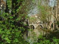 NL, Utrecht, Utrecht, Oude Gracht 4, Saxifraga-Foto Fitis-Sytske Dijksen