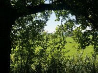 NL, Utrecht, Utrechtse Heuvelrug, Amerongen 4, Saxifraga-Foto Fitis-Sytske Dijksen