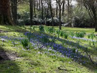 NL, Zuid-Holland, Rotterdam 48, Saxifraga-Foto Fitis-Sytske Dijksen