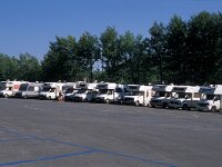 I, Pistoia, Abetone 14, Saxifraga-Jan van der Straaten