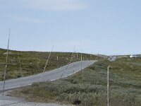 N, Innlandet, Oystre Slidre, Beitostolen 4, Saxifraga-Willem van Kruijsbergen