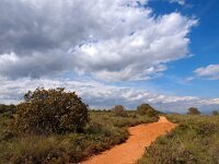 E, Malaga, Coin 3, Saxifraga-Hans Dekker