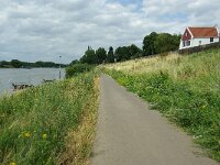 NL, Limburg, Venlo, Steyl 1, Saxifraga-Foto Fitis-Sytske Dijksen