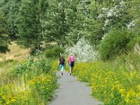 NL, Limburg, Venlo, Steyl 2, Saxifraga-Foto Fitis-Sytske Dijksen