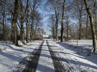 NL, Noord-Brabant, Alphen-Chaam, de Hoevens 53, Saxifraga-Willem van Kruijsbergen