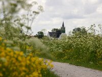 NL, Noord-Holland, Texel, Oudeschild, Skillepaadje 1, Saxifraga-Foto Fitis-Sytske Dijksen