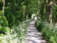 NL, Noord-Holland, Texel, Oudeschild, Skillepaadje 2, Saxifraga-Foto Fitis-Sytske Dijksen