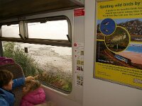 GB, Cornwall, St Ives 22, Saxifraga-Foto Fitis-Sytske Dijksen