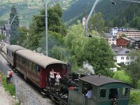 CH, Wallis, Fiesch 1, Saxifraga-Jonathan Vandevoorden