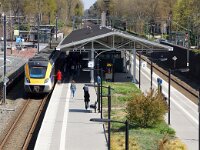 NL, Utrecht, De Bilt, Bilthoven 2, Saxifraga-Foto Fitis-Sytske Dijksen