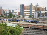 NL, Zuid-Holland, Leiden, station 1, Saxifraga-Foto Fitis-Sytske Dijksen