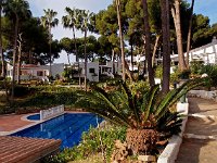 E, Malaga, Mijas, Sitia de Calahonda 6, Saxifraga-Hans Dekker