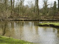 NL, Noord-Brabant, Eindhoven, Dommel and Tongelreep 1, Saxifraga-Marijke Verhagen