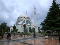 AL, Shkoder, Shkoder 109, Saxifraga-Hans Boll