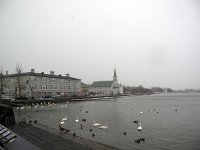 IS, Sudurland, Reykjavik 3, Saxifraga-Bart Vastenhouw