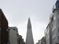 IS, Sudurland, Reykjavik 6, Saxifraga-Bart Vastenhouw