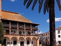 E, Malaga, Ronda 6, Saxifraga-Hans Dekker