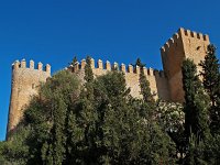 E, Mallorca, Arta 1, Saxifraga-Hans Dekker