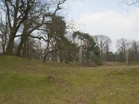 NL, Gelderland, Apeldoorn, Hunnenschans 4, Saxifraga-Jan Nijendijk