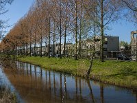 NL, Noord-Brabant, Tilburg, Reuverlaan 2, Saxifraga-Jan van der Straaten