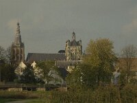 NL, Noord-Brabant, 's Hertogenbosch, Sint Jan 6, Saxifraga-Jan van der Straaten