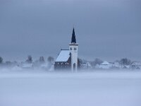 NL, Noord-Holland, Texel, Den Hoorn 18, Saxifraga-Foto Fitis-Sytske Dijksen