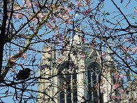 NL, Utrecht, Utrecht 1, Foto Fitis-Sytske Dijksen