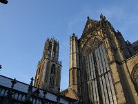 NL, Utrecht, Utrecht, Domtoren 6, Saxifraga-Foto Fitis-Sytske Dijksen