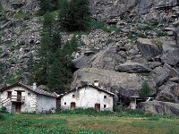 I, Valle d'Aosta, Rhemes-Notre Dame, Alp de Nivolet 1, Saxifraga-Jan van der Straaten