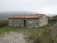 E, Avila, Hoyos del Espino 13, Saxifraga-Willem van Kruijsbergen