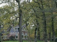 NL, Friesland, Noardeast-Fryslan, Veenklooster 2, Saxifraga Hans Boll