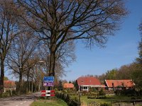 NL, Drenthe, Midden-Drenthe, Witteveen 1, Saxifraga-Hans Dekker